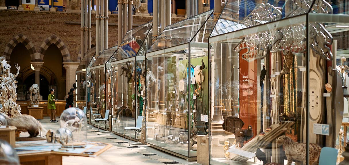 The neo-Gothic main court of the Museum of Natural History